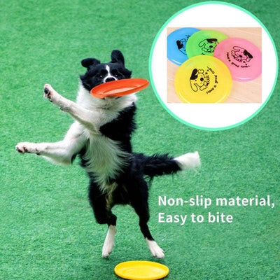 Pet Supplies Dog